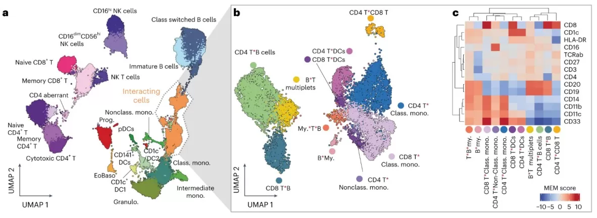 Ultra-high-scale cellular interaction mapping across complex immune landscapes.
